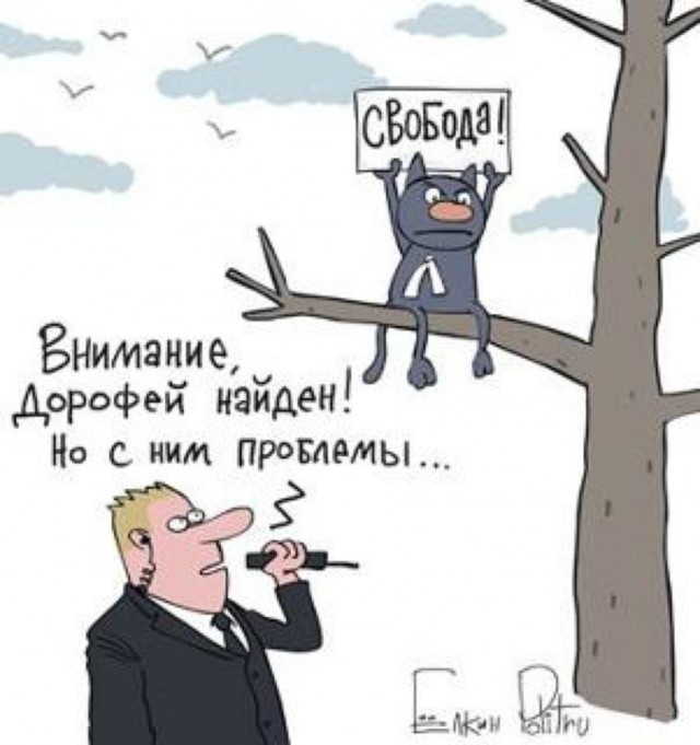 Дорофей убежал! Ещё один всё понял...