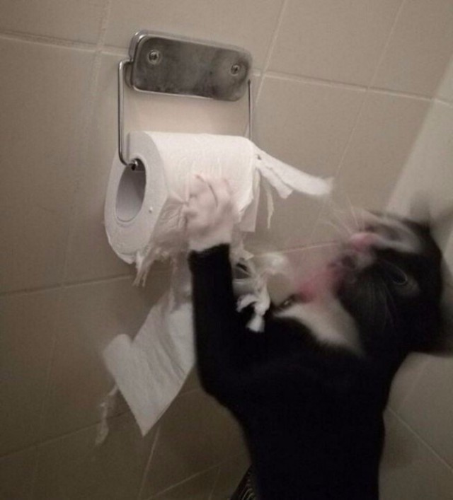 Немного милоты