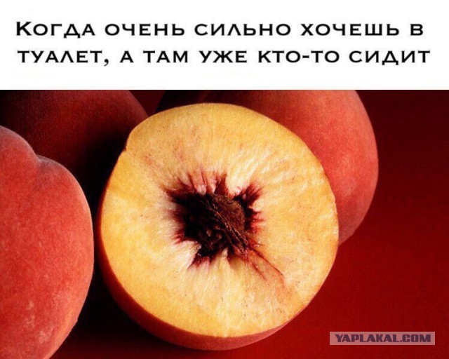 АнДиградаунт