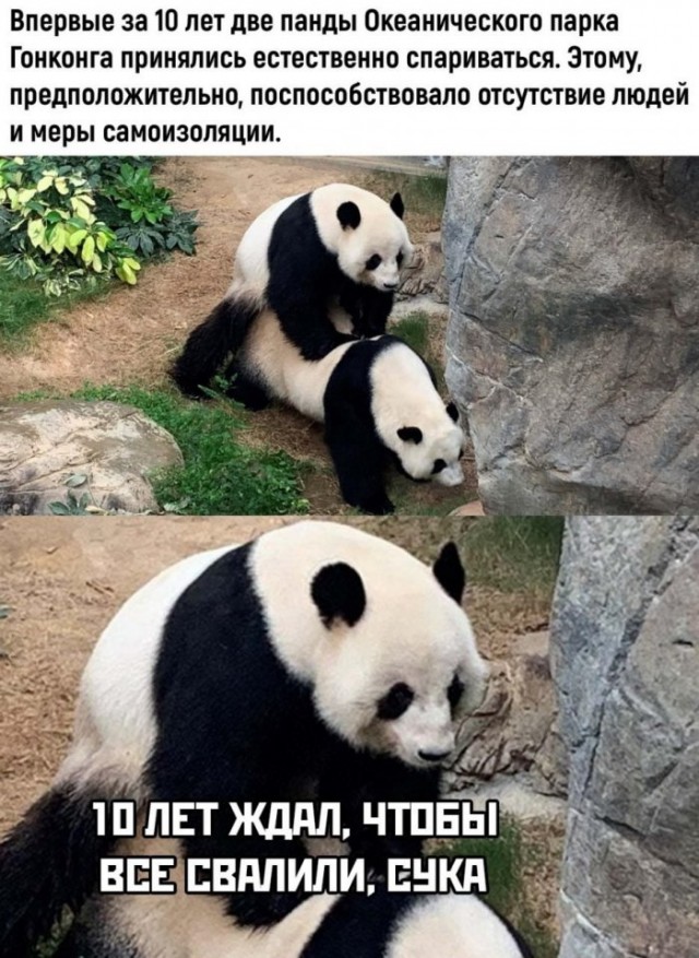 Немного картинок для настроения 08.04.20