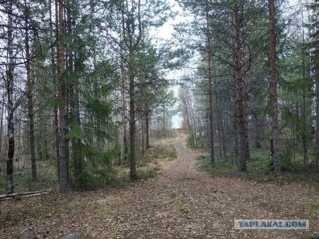 Рыбалка Софпорог Карелия 2020