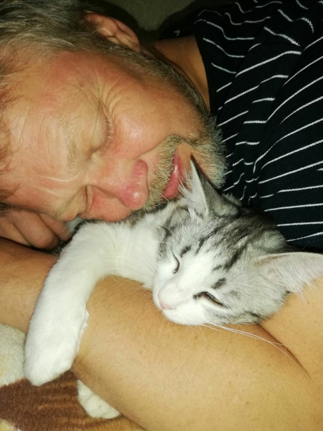 Занюханный кот