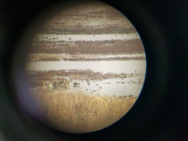 Картинки и мемы на все случаи жизни