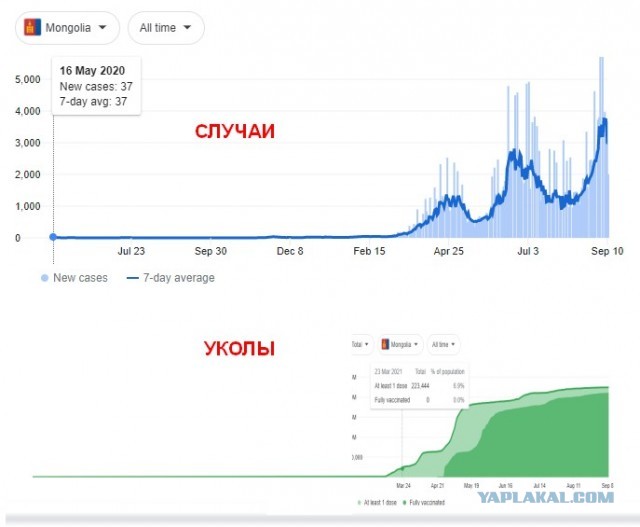 Британский директор похоронного бюро рассказывает правду