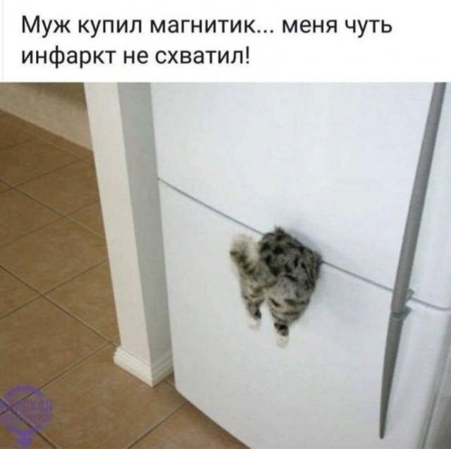 Картинки и мемы для настроения 18.10.2021