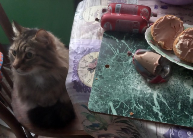 Котовторниковское