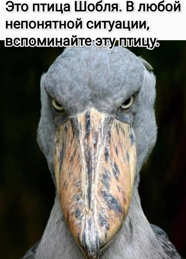 Так себе картинки 30.03.22