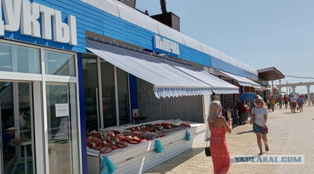 Чебуреки. Витязево