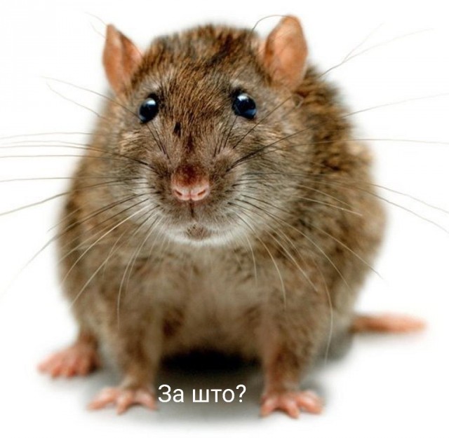 Схватка