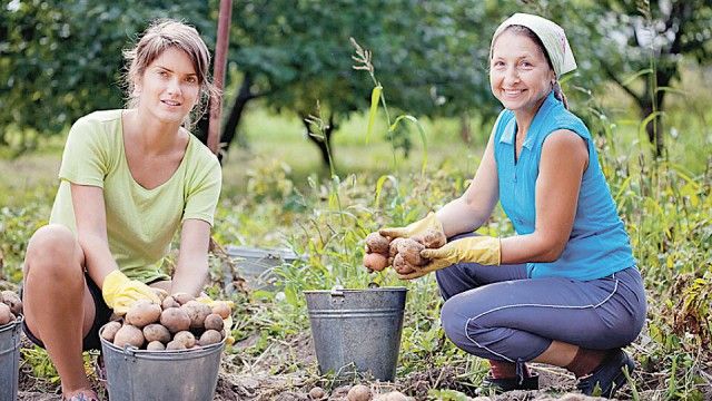Августовские беларуски