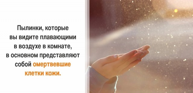 30 суровых фактов, которые пугают больше, чем фильмы ужасов