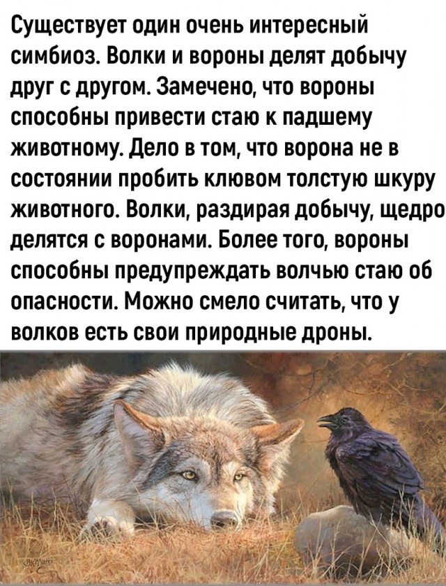 Так себе картинки 26.10.22