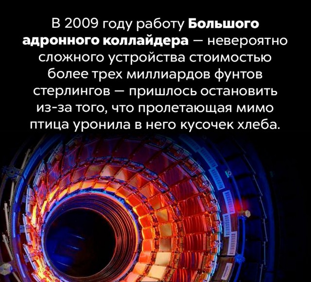 Подборка бесполезных,но интересных фактов.