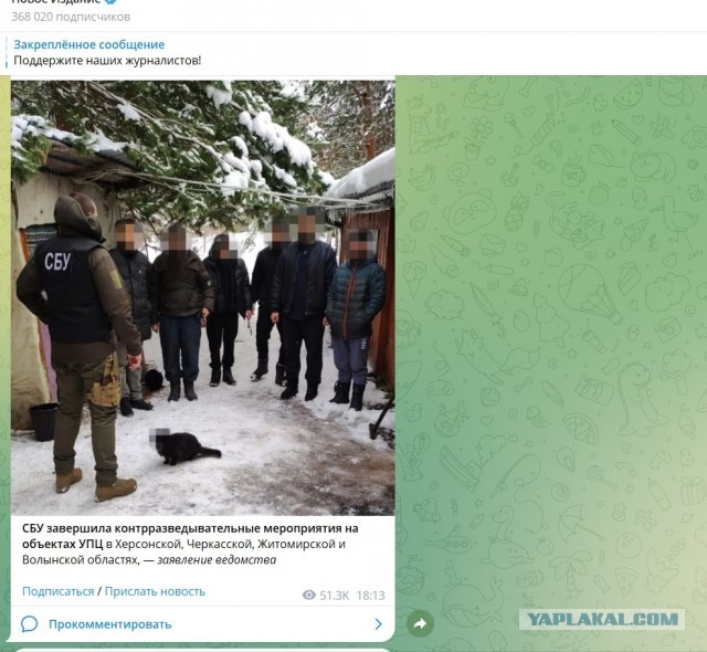 Даже котик под подозрением