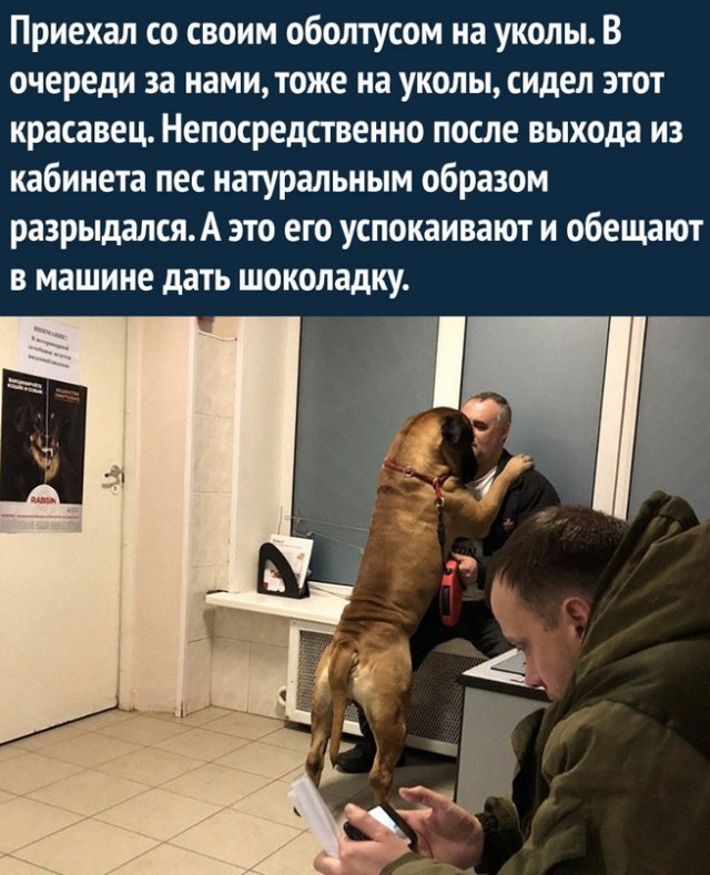 Немного картинок для настроения