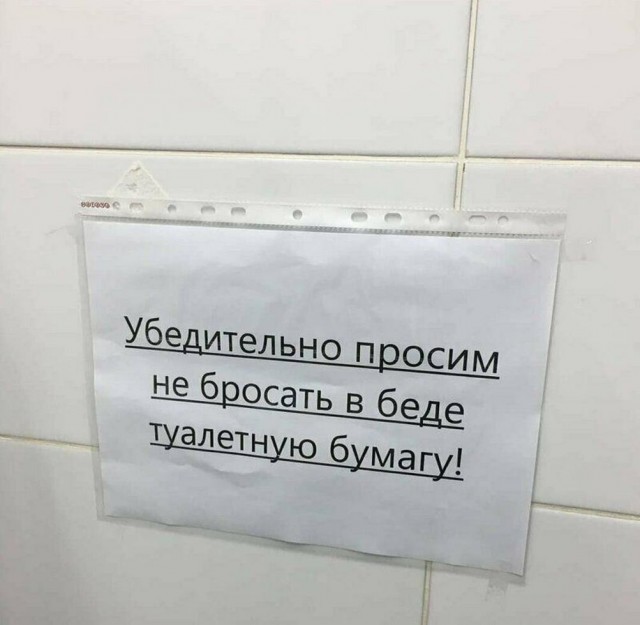 Подборка картинок 23.05.2023