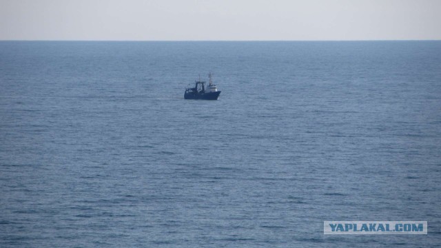 Крым в феврале или "Не стреляйте в белых лебедей!"