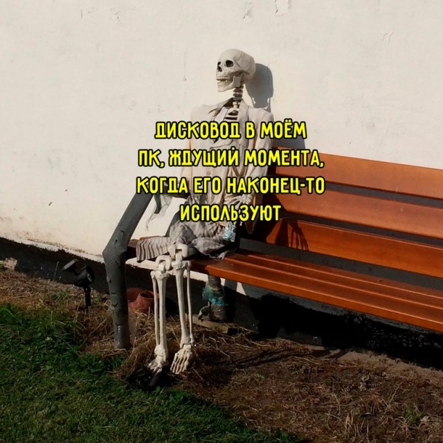 Весёлый полтишок 28.06.23