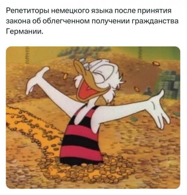 Бундестаг окончательно принял закон, упрощающий получение гражданства Германии