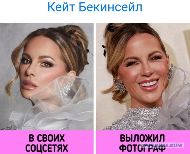 Такие разные звезды