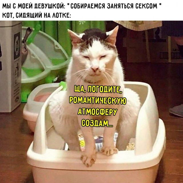 Весёлый полтишок 15.04.24