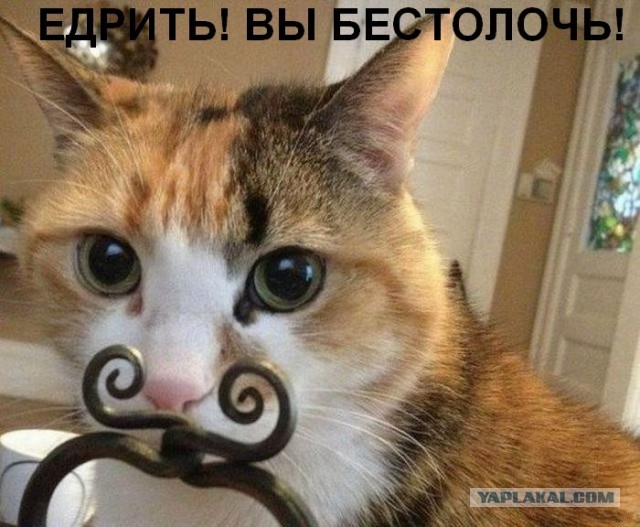 Эпическое ДТП.