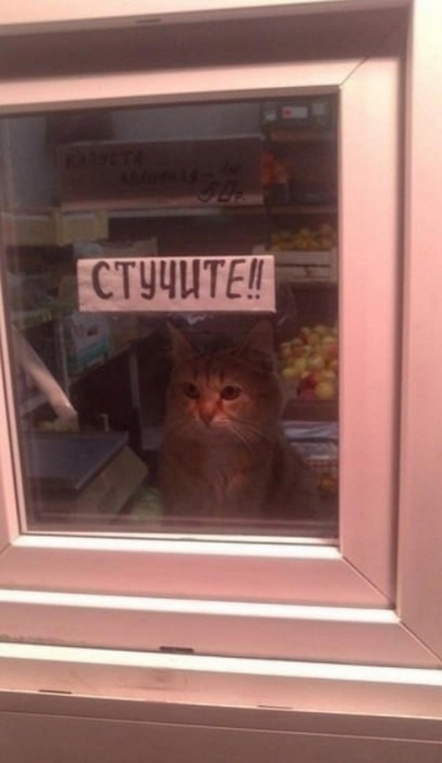 Весёлый полтишок 10.07.24