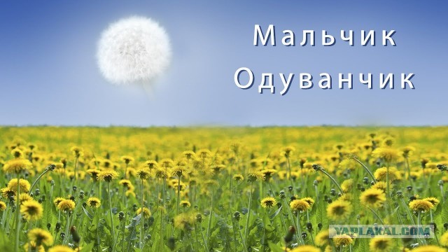 С добрым  утром