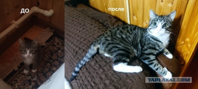 Вот и я стал рабом