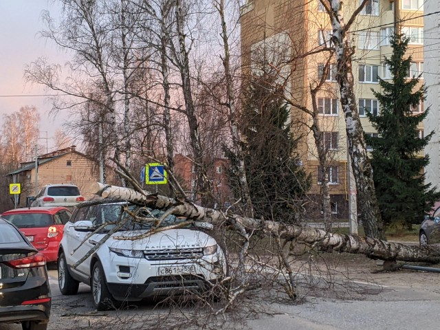 В эти минуты в Петербурге снегопад