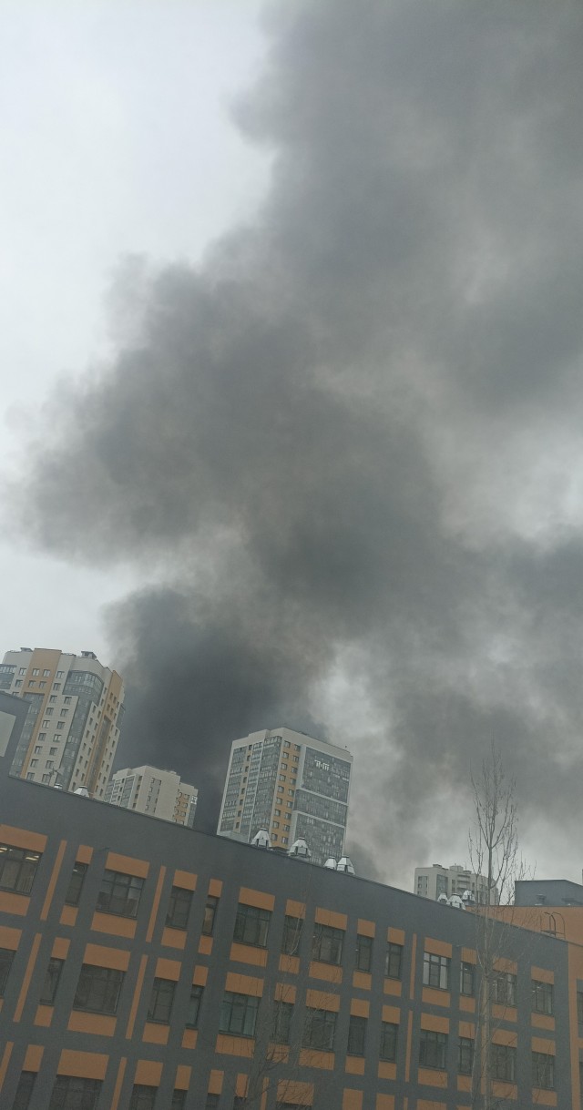 Типичный день в Шушарах