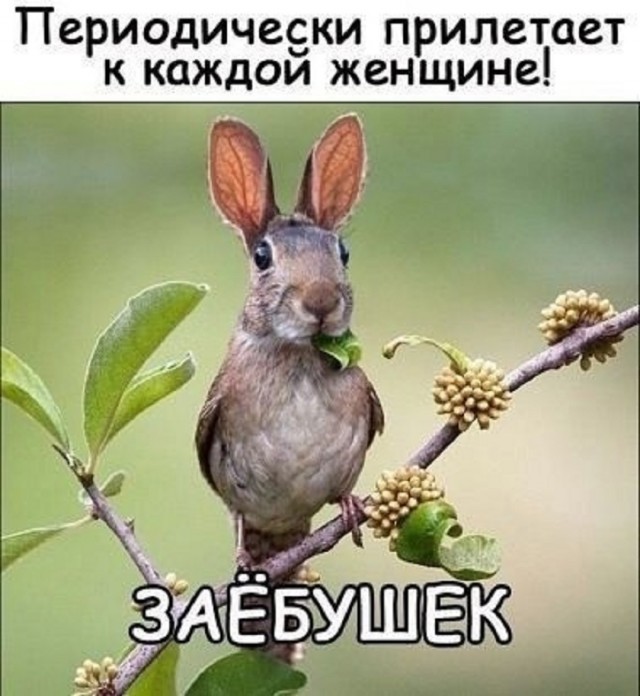 Так себе картинки 15.05.25