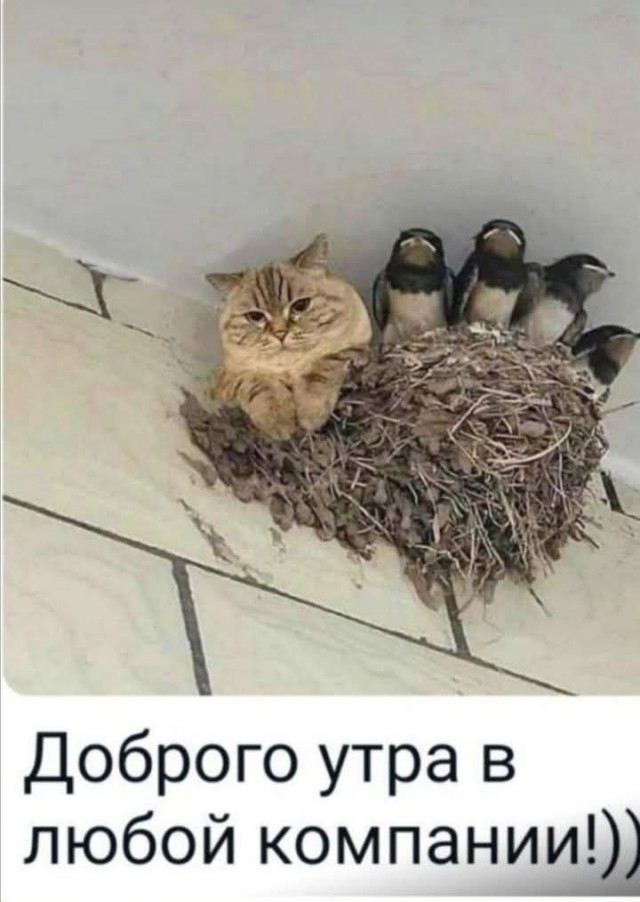Маленькая пятница 21.05.25
