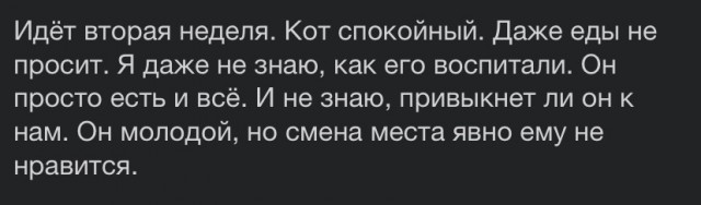 Помогите назвать кота.