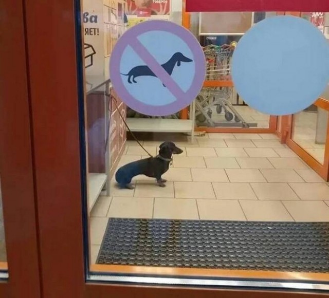 Бредейшая бредятина