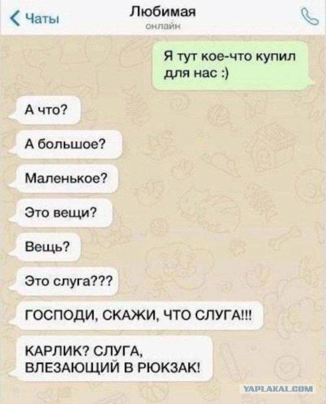 Забавные картинки, шутки из этих ваших интернетов