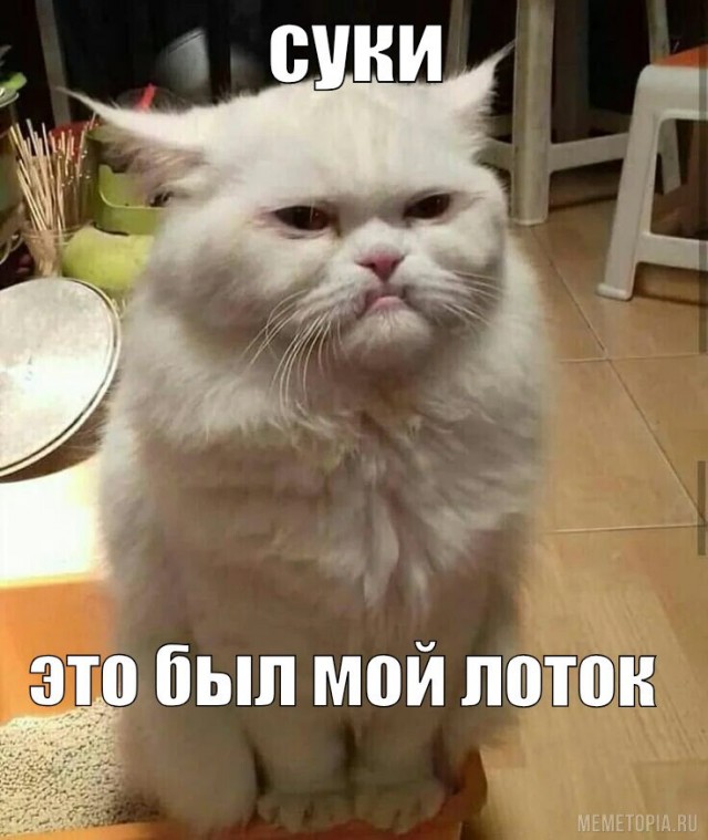 Что делать, если нет воды и не работает канализация?