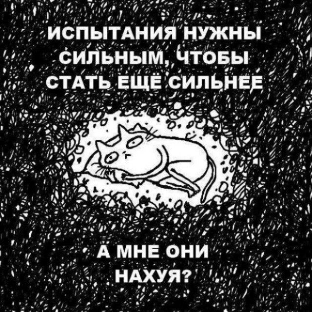 Сильный крот