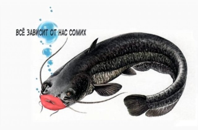 Кувартиран или сопусты?