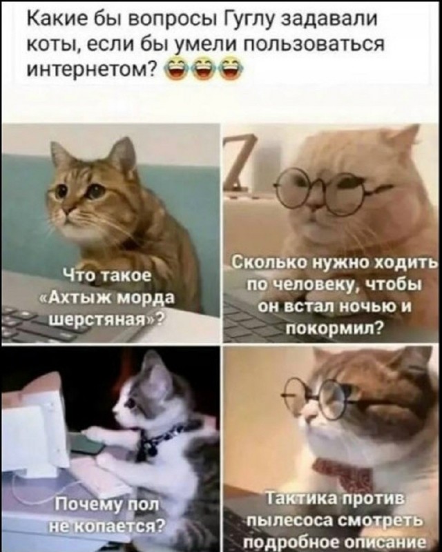 Так себе картинки 14.05.26