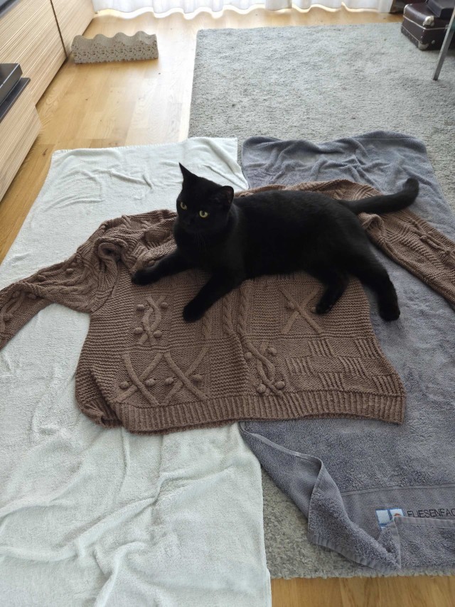 Мой медитативный тестроген