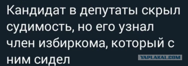 Бесплатная услуга власти