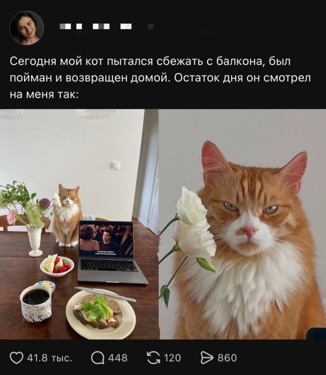 Так себе картинки 07.09.26