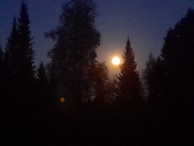 Сам по себе 124