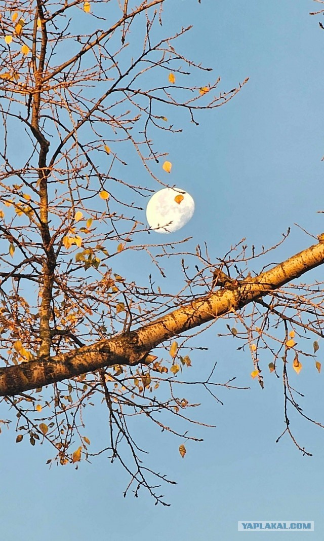 Все краски осени