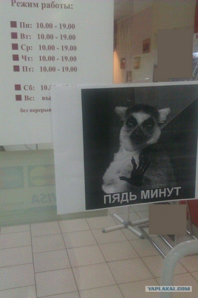 Откуда взялся узбагойся
