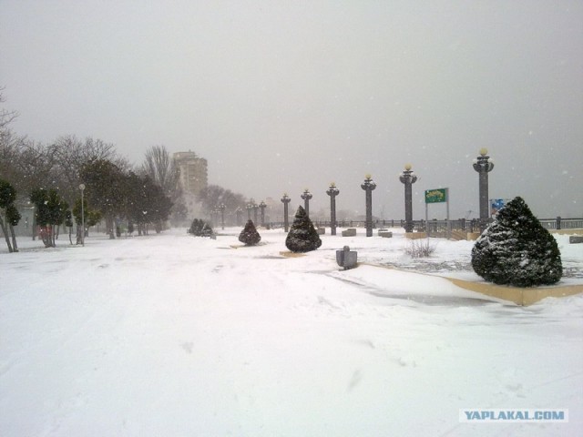 Ялта.Январь.Снег.