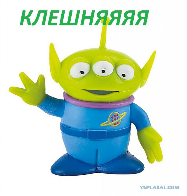 Новое жильё владимира владимировича