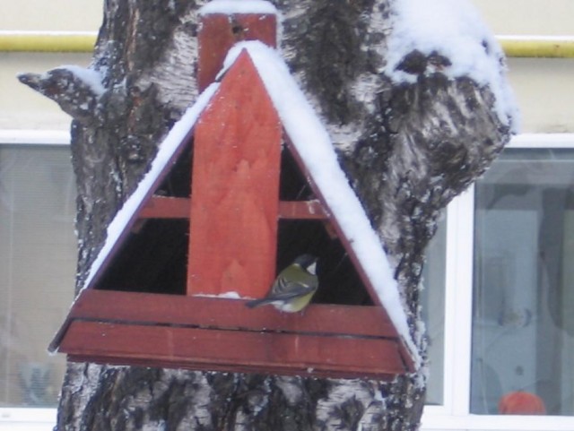 Птичкам нужна помощь
