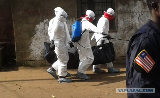 В Либерии зафиксировали первых зомби